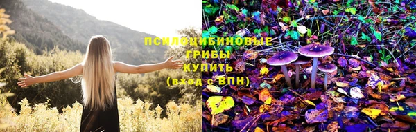 МДПВ Абаза