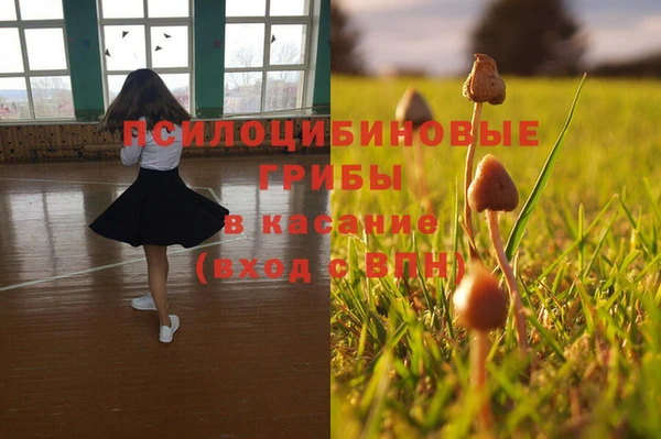 МДПВ Абаза