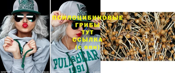 МДПВ Абаза
