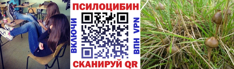 Галлюциногенные грибы ЛСД  Липецк 
