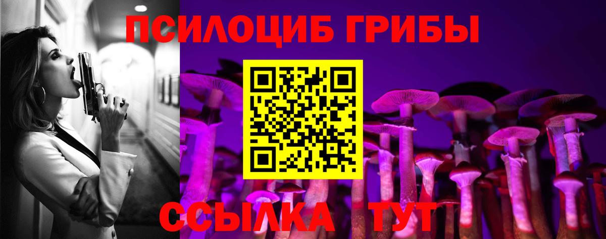 Псилоцибиновые грибы мицелий  Вход с VPN  Псилоцибиновые грибы мухоморы  Липецк 